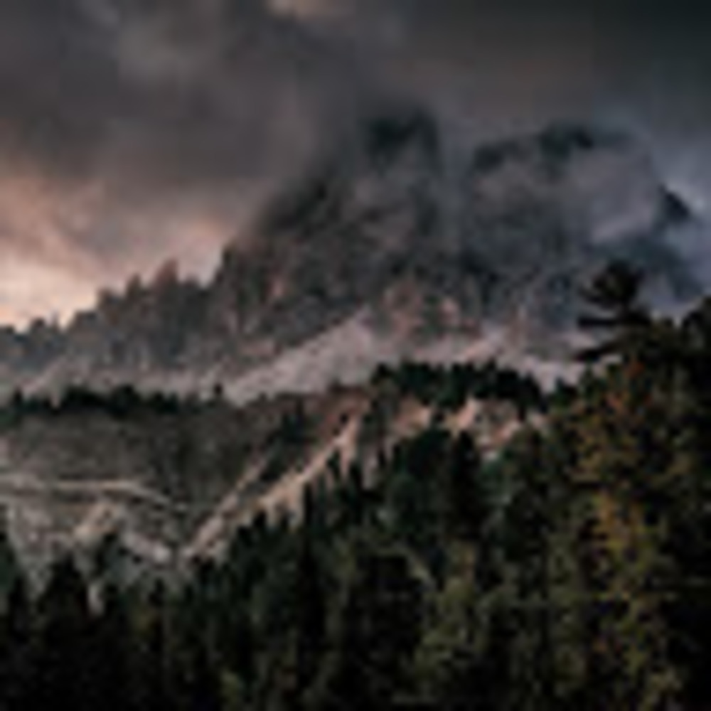 Meet your Posher, Alexandria